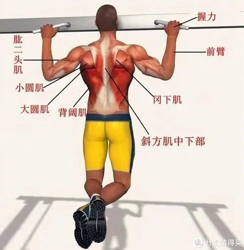 室内健身顺序